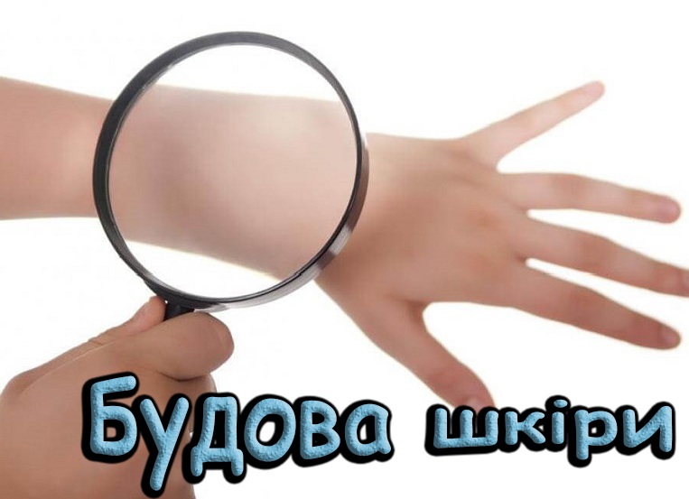 Описание: 3.jpg